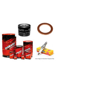 KIT 100h – Manutenzione Rotax (Olio + Candele + Filtro + Rondella)